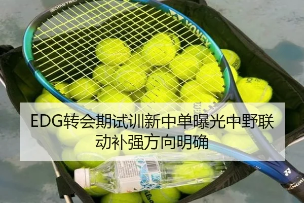 EDG转会期试训新中单曝光中野联动补强方向明确